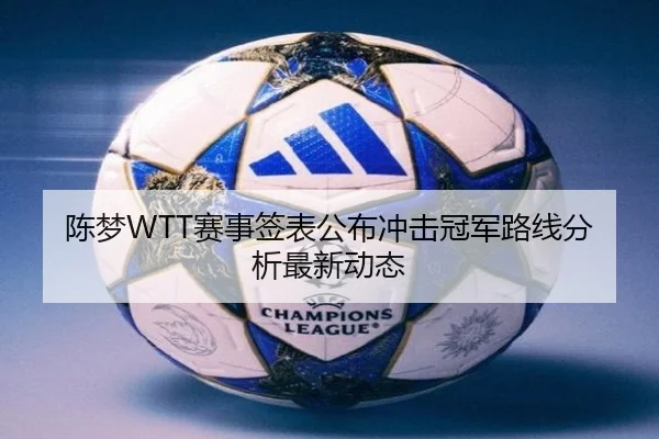 陈梦WTT赛事签表公布冲击冠军路线分析最新动态